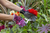 Guantes Burgon & Ball "British Bloom" - envés