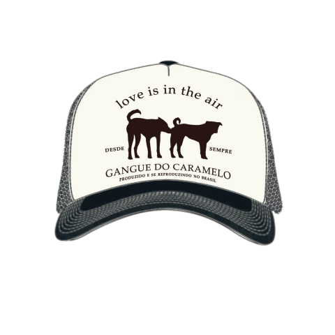 BONÉ LOVE IS IN THE AIR - comprar online