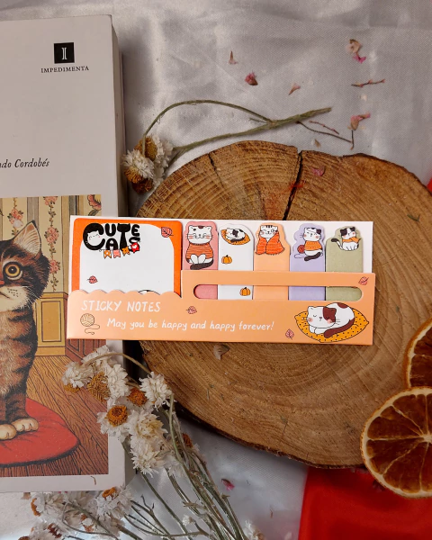 Popsticks Gatitos Naranja