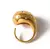 Anillo Dana en internet