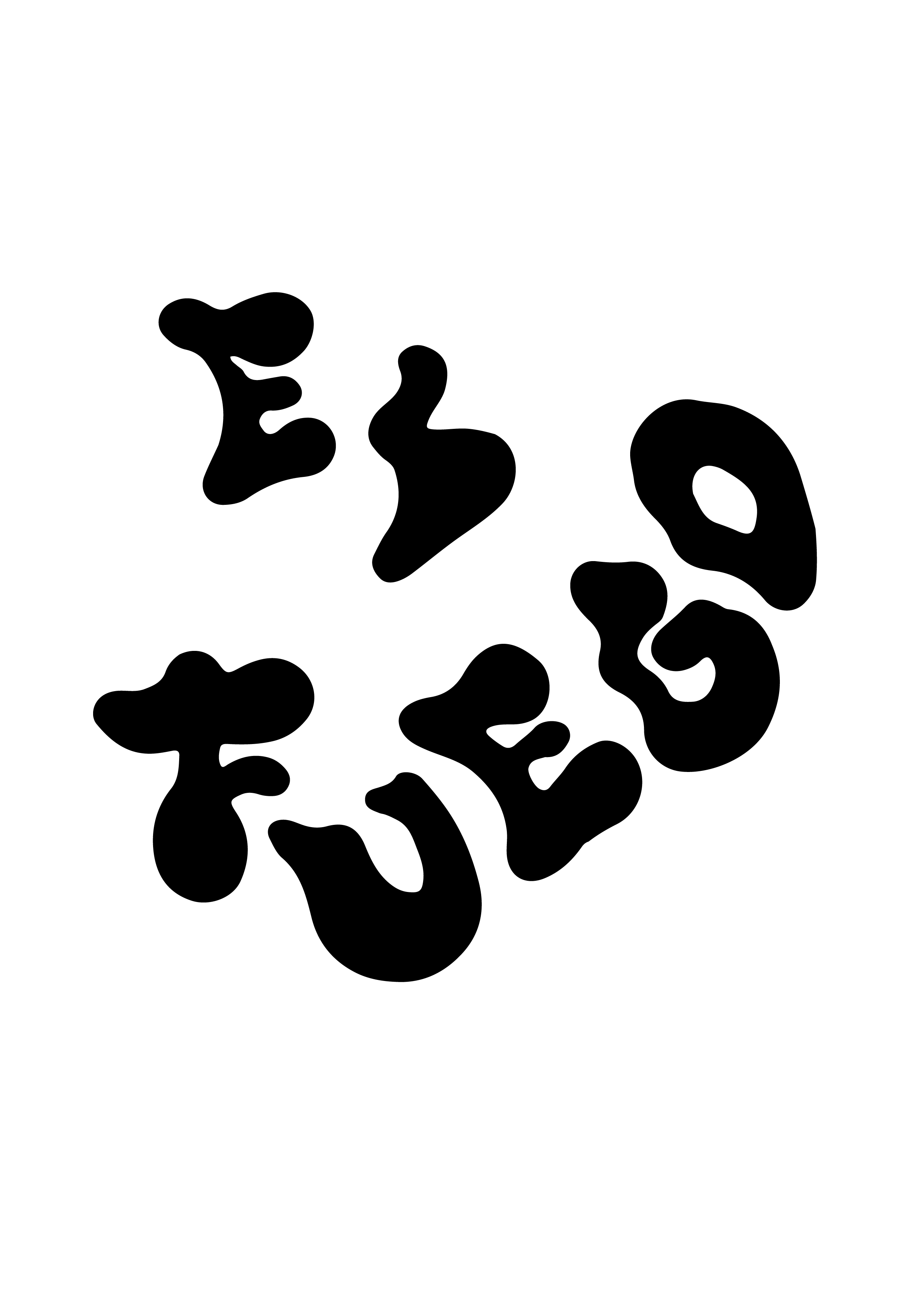 EL FUEGO STUDIO