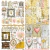 Coleção KINGDOM - papéis completa - KIN01 à KIN08 - Carina Sartor Designs