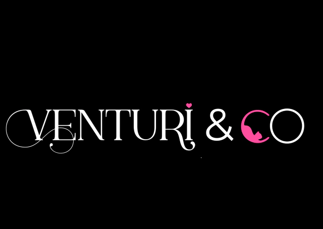 Venturi & Co