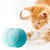 Power Ball Para Mascotas en internet