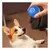 Imagen de Power Ball Para Mascotas