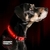 Collar para Mascotas con Luz Led - Rojo - comprar online