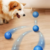 Power Ball Para Mascotas