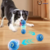 Power Ball Para Mascotas - comprar online