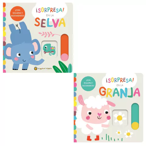 Un Libro Sorpresa
