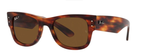 MEGA WAYFARER CAREY/ MARRON LISO 0840S