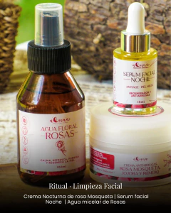 Combo Limpieza Facial - comprar online