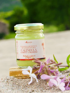 POMADA MEDICINAL Regeneradora - comprar online
