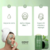 Green Mask™ Mascarilla Facial De Te Verde Antiacné - tienda online