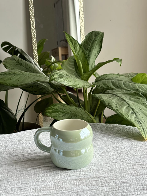 Taza tornasolada verde