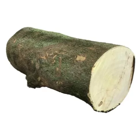 Lenha Frutífera Para Churrasco E Defumação, Laranjeira 5 Kg