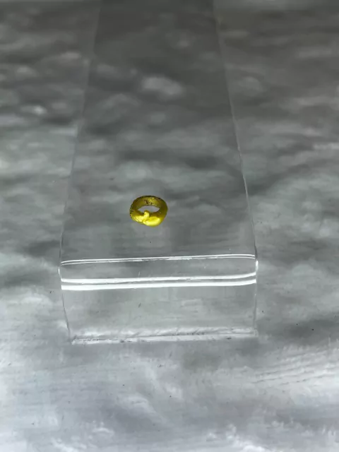 Pulseira Cleo Ghouls Rules - Monster High Boneca