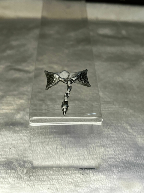 Cinto Raven Queen W1 - Ever After High Boneca Acessório
