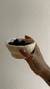 Snacks pellizco x 2u. en internet
