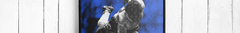 Banner de la categoría CUADROS