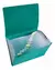 CLASIFICADOR THE PEL CHEQUES CON ELASTICO 12 DIVISIONES VERDE - comprar online