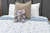 ACOLCHADO TWIN INFANTIL REVERSIBLE - Drims