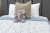 ACOLCHADO TWIN INFANTIL REVERSIBLE - Drims
