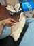 ADIDAS DYMANOND