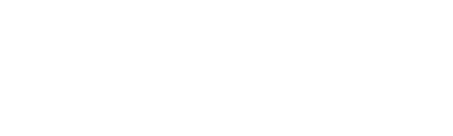 Ventra Store