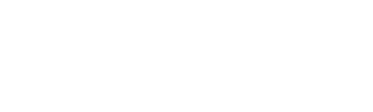 Ventra Store