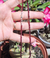 Chocker Granada 3mm BP na internet
