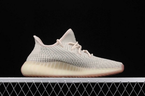 Adidas Yeezy Boost 350