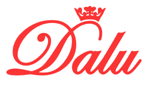 Dalu Shoes