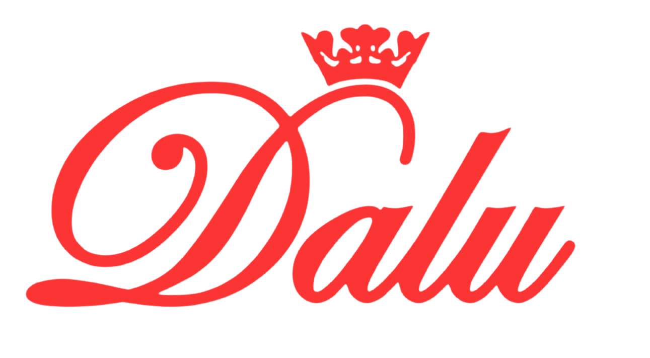 Dalu Shoes