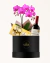 Box "Eu te admiro" Vinho + Orquídea + Ferrero Rocher - comprar online