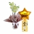 Orquídea Mimo e Balão Com Chocolate - loja online