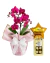 Orquídea Mimo e Balão Com Chocolate - comprar online