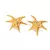 AROS LAGOA GOLD - comprar online