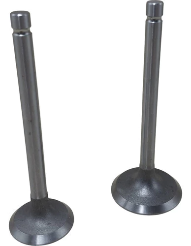 Kit de Válvula Escape e Admissão para Motor Estacionário Diesel 10 Hp