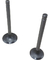 Kit Válvula Escape Admissão Motor Diesel 10 Hp Toyama Branco - comprar online