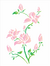 Stencil OPA 1270 - Flores Magnólias - 32x42cm - comprar online