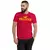 Camiseta Masculina Hollister - comprar online