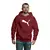 Blusa Moletom Puma Com Capuz Premium - comprar online