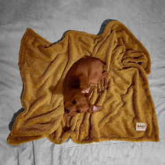 MANTA CORDERITO en internet