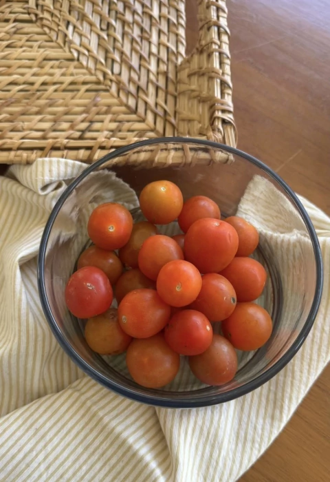 Bowl Viamonte - comprar online