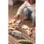 Kit Coleção Animais - loja online