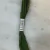 hilo mouline tonos verdes - miro BORDADOS