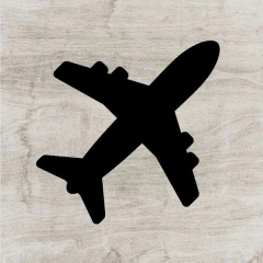 Avión negro #1