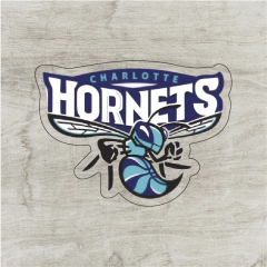 Charlotte Hornets #2