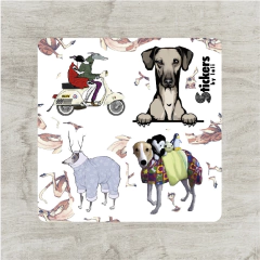 P. 10x10 - Perritos Galgos