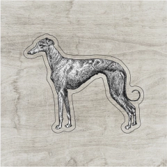 Galgo gris